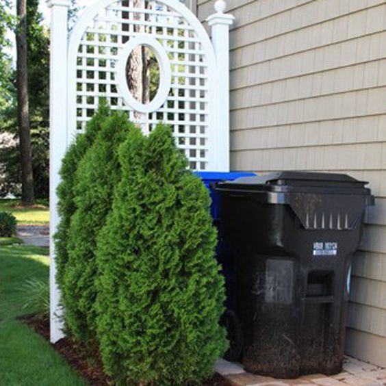 Cacher les poubelles extérieures avec des buissons