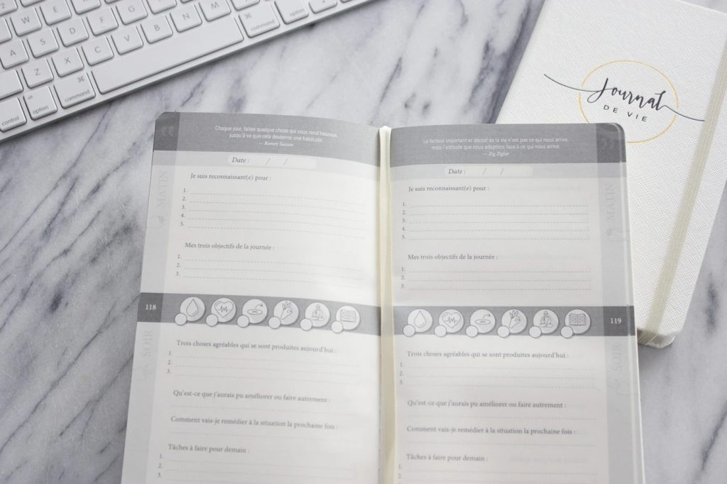 Journal De Vie Guidé Quotidien - Augmente Gratitude Et Productivité, Planificateur De Routine Simple