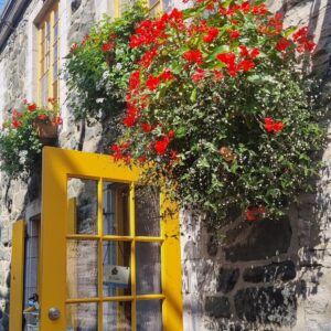 Fleurs rouge et porte jaune