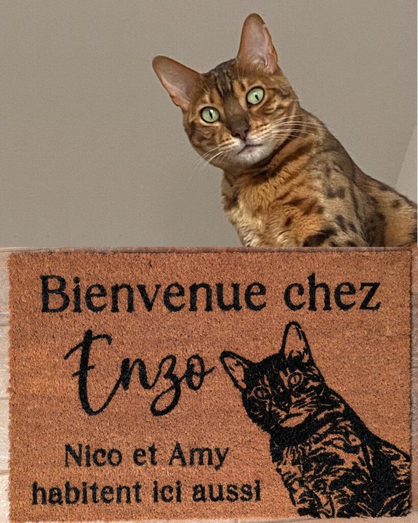 Paillasson personnalisé animal de compagnie